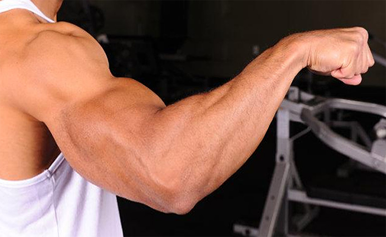 7 Top Forearm Building Benefits and Tips Keep Fit Kingdom 770x472