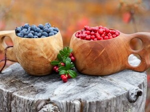 5 Super Berries from Finland Keep Fit Kingdom