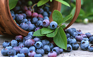 Top 5 Health Benefits of Blueberries Keep Fit Kingdom 770x472