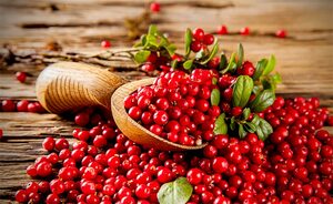 Top 5 Health Benefits of Cranberries Keep Fit Kingdom 770x472