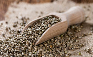 Top 5 Health Benefits of Hemp Seeds Keep Fit Kingdom 770x472