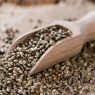 Top 5 Health Benefits of Hemp Seeds!