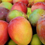 Top 5 Health Benefits of Mango Keep Fit Kingdom 770X472