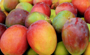 Top 5 Health Benefits of Mango Keep Fit Kingdom 770X472