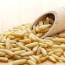 Top 5 Health Benefits of Pine Nuts!
