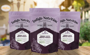 Indigo Herbs Organic Vegan Super Protein Powder Kung Fu Kingdom 770x472