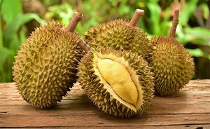Top 5 Health Benefits of Durian Keep Fit Kingdom 770x472