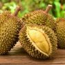 Top 5 Health Benefits of Durian!