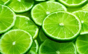 Top 5 Health Benefits of Lime Keep Fit Kingdom 770x472