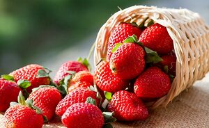Top 5 Health Benefits of Strawberries Keep Fit Kingdom 770x472