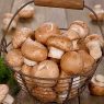 Top 5 Health Benefits of Mushrooms!