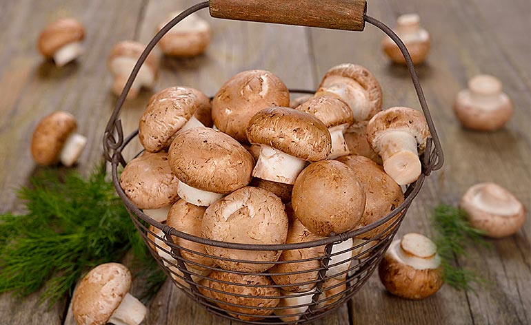 Top 5 Health Benefits of Mushrooms Keep Fit Kingdom 770x472