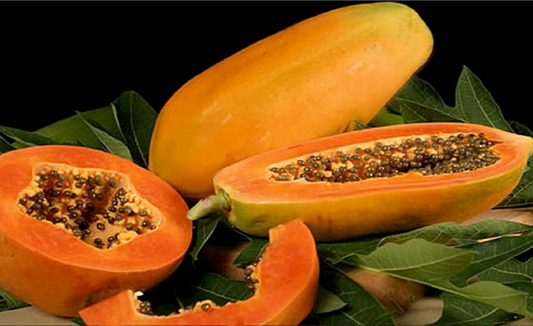 Top 5 Health Benefits of Papaya Keep Fit Kingdom 770x472
