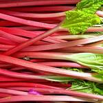 Top 5 Health Benefits of Rhubarb Keep Fit Kingdom 770x472