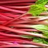 Top 5 Health Benefits of Rhubarb!