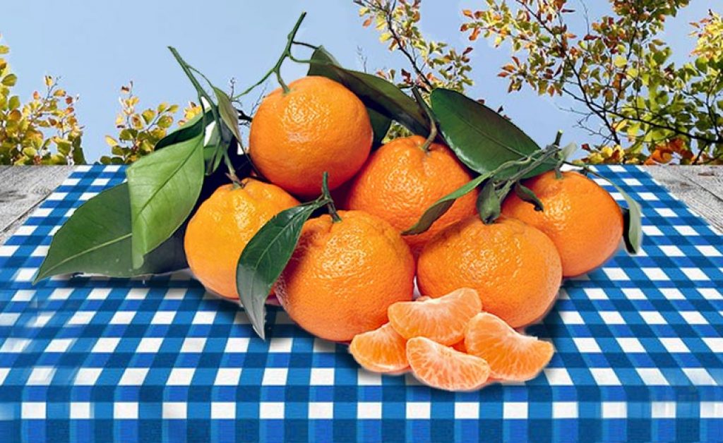 Top 5 Health Benefits of Satsumas! Keep Fit Kingdom