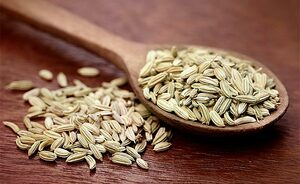 Top 5 Health Benefits of Fennel Seeds Keep Fit Kingdom 770x472