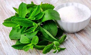 Top 5 Health Benefits of Stevia Keep Fit Kingdom 770x472