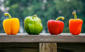 Top 5 Health Benefits of Bell Peppers Keep Fit Kingdom 770x472
