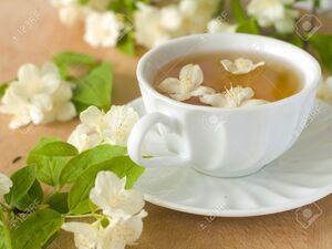 Top 5 Health Benefits of Jasmine Tea Keep Fit Kingdom