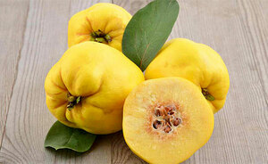 Top 5 Health Benefits of Quince Keep Fit Kingdom 770x472