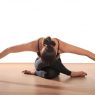 Top 5 Benefits of Yin Yoga!