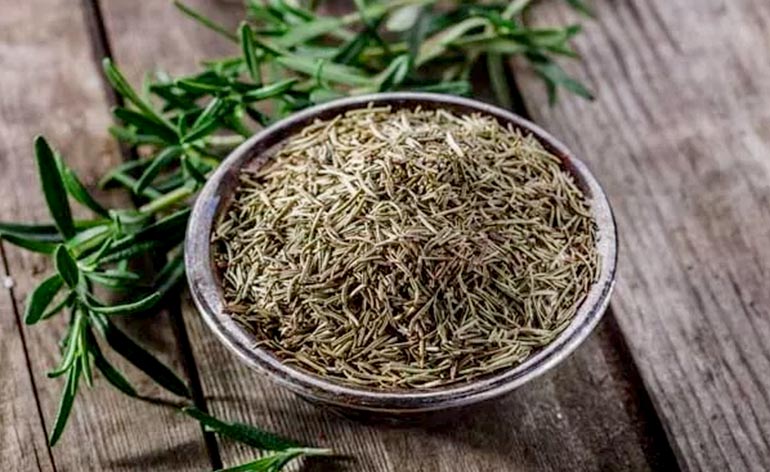 Top 5 Health Benefits of Rosemary Keep Fit Kingdom 770x472