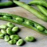 Top 5 Health Benefits of Fava Beans!