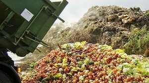 Top 5 Ways to Reduce Food Waste Keep Fit Kingdom 842x472