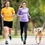 5 Fun Ways to Exercise with Your Dog Keep Fit Kingdom 842x472