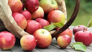 Top 5 Health Benefits of Apples Keep Fit Kingdom 842x472
