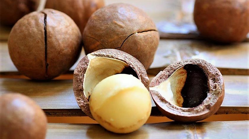 Top 5 Health Benefits of Macadamia Nuts Keep Fit Kingdom 842x472