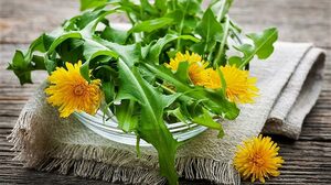 Top 5 Health Benefits of Dandelion Greens Keep Fit Kingdom 842x472