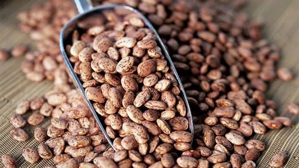 Top 5 Health Benefits of Pinto Beans! Keep Fit Kingdom