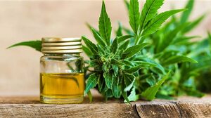 Top 5 Health Benefits of Cannabis Oil Keep Fit Kingdom 842x472