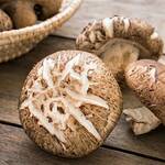 Top 5 Health Benefits of Shiitake Mushrooms Keep Fit Kingdom 842x472