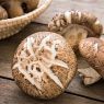 Top 5 Health Benefits of Shiitake Mushrooms!