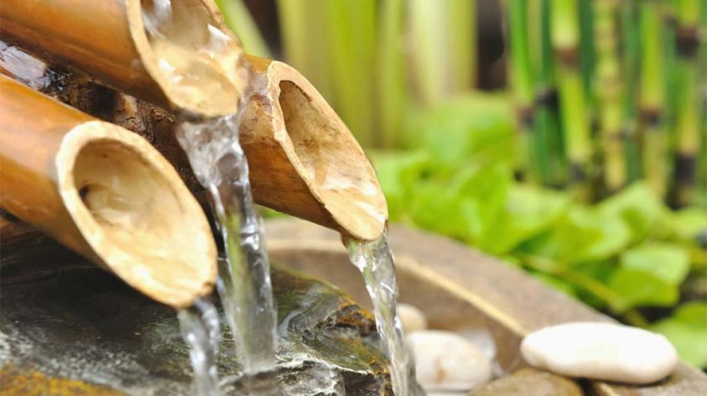 Top 5 Benefits of Drinking Bamboo Water! Keep Fit Kingdom