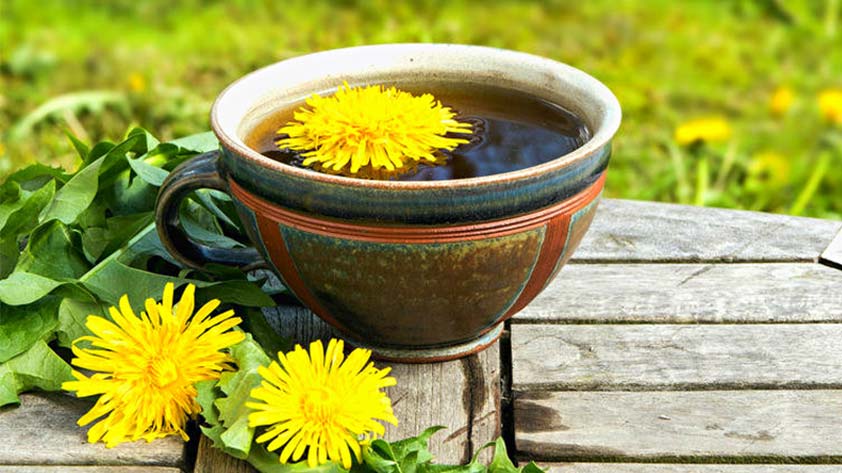 Top 5 Health Benefits of Dandelion Coffee Keep Fit Kingdom 842x472
