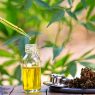 Can You Use CBD Oil for Pain Management?