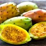 Top 5 Health Benefits of Cactus Fruit