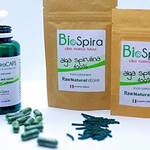 BioSpira Pure Spirulina Keep Fit Kingdom 842x472