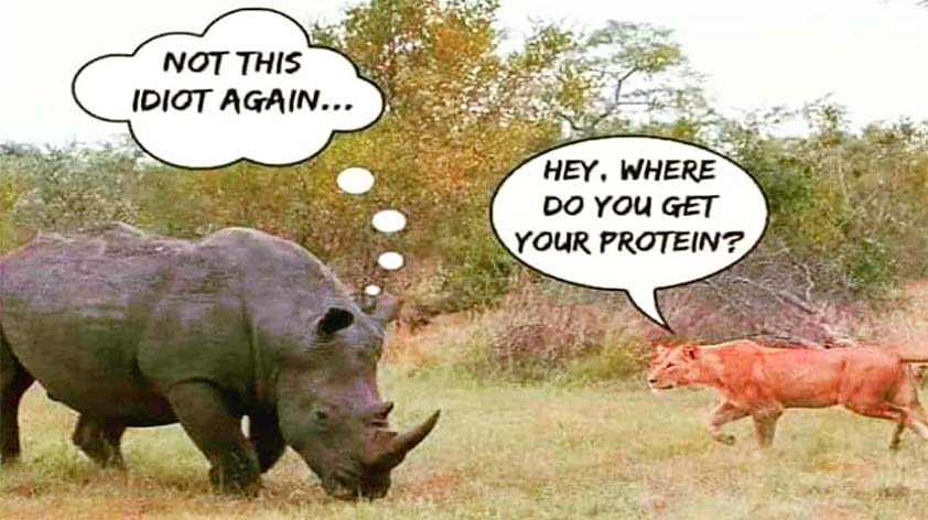Hey Vegan Where Do You Get Your Protein 5 Common Myths Busted Keep Fit Kingdom 842x472