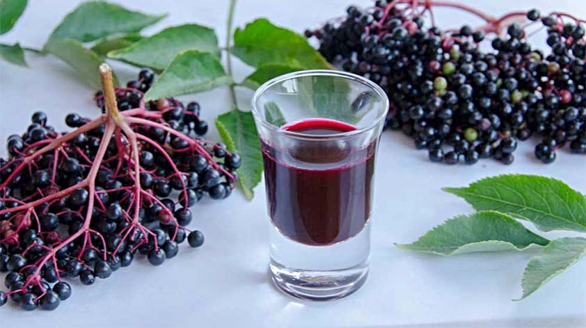 Top 5 Health Benefits of Elderberry Keep Fit Kingdom 842x472