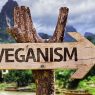 My Vegan Journey: 5 Practical Challenges I’m Dealing With