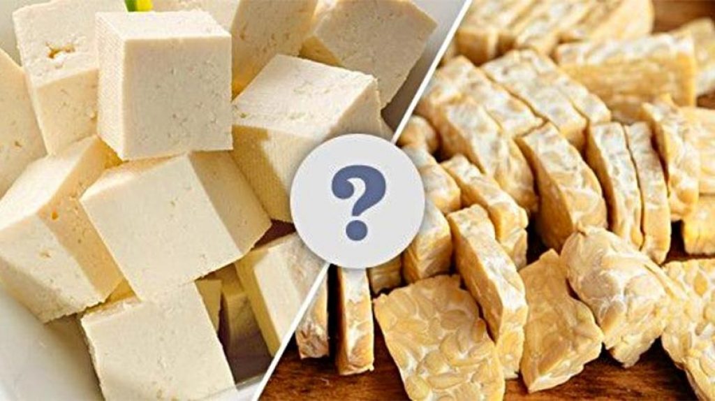 Tofu vs Tempeh Which is Better? Keep Fit Kingdom
