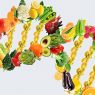 Nutrigenomics: A Possible Future for Personalized Nutrition?