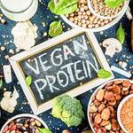 Plant Based Protein 5 Superb Sources to Look Out For Keep Fit Kingdom