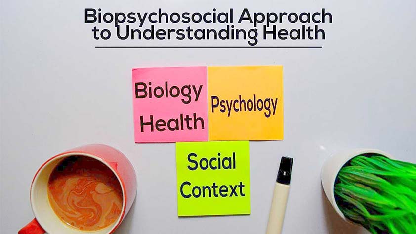 The Biopsychosocial Model Why You Should Use It - Keep Fit Kingdom