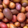 Potatoes: Top 5 Health Benefits!